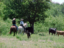 USA-Texas-Panhandle Bar H Ranch